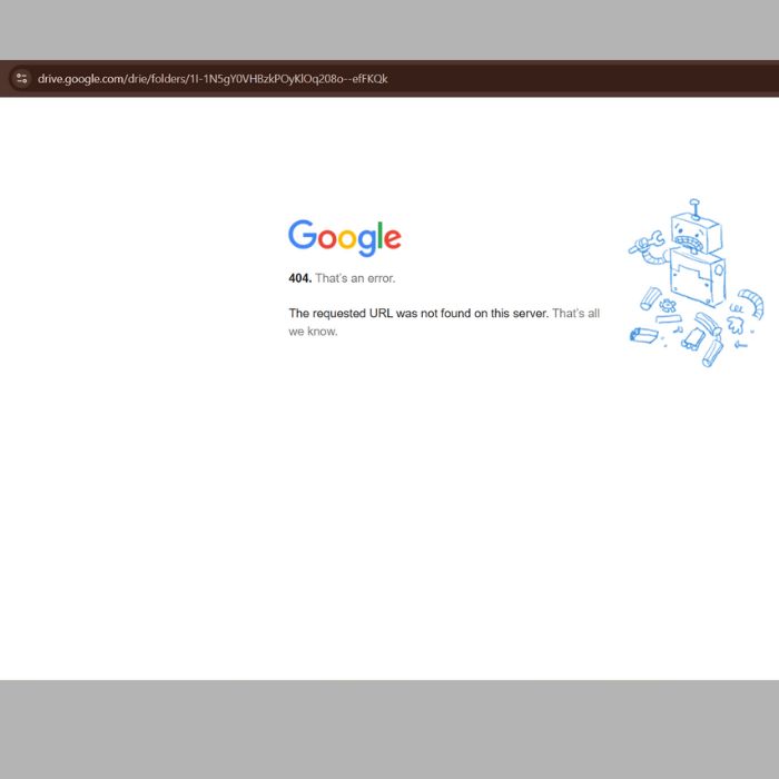 Những nhân dẫn đến Link Google Drive bị lỗi 404