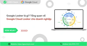 Google Looker là gì? Tổng quan về Google Cloud Looker cho doanh nghiệp